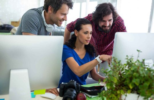 Organic SEO Company2